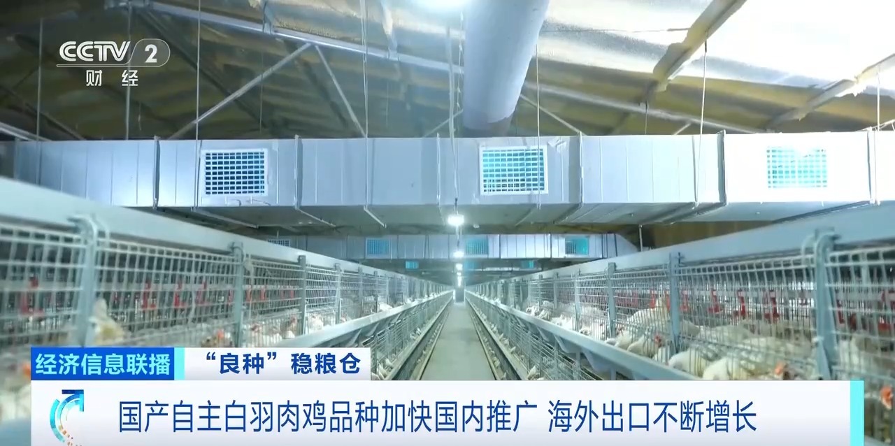 EWC电竞世界杯(中国区)有限公司-官方网站