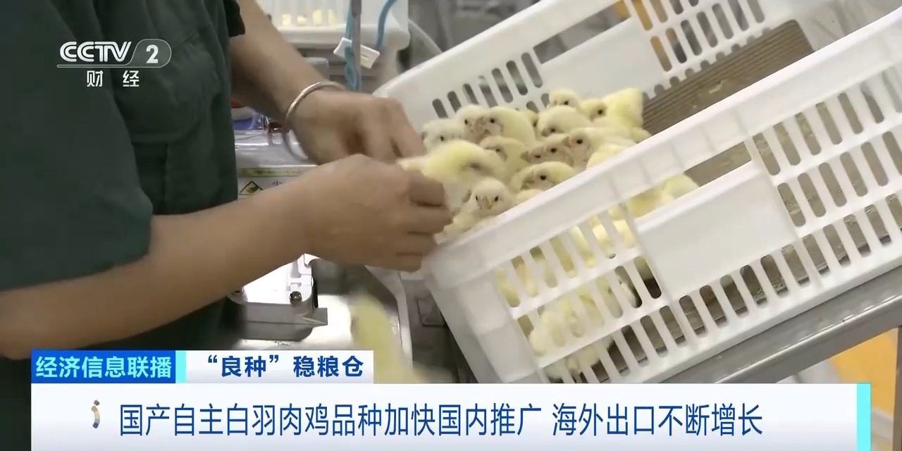 EWC电竞世界杯(中国区)有限公司-官方网站